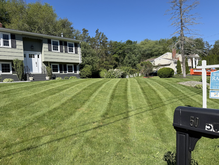 Freshly mowed lawn with perfect stripes