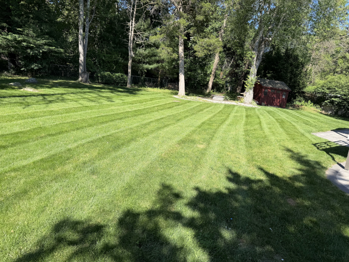 Pristine backyard lawn with professional striping