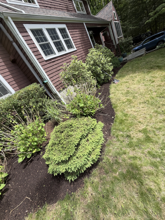 Clean foundation beds with fresh mulch