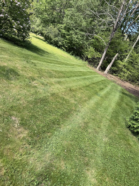 Beautifully striped lawn on a sloping property